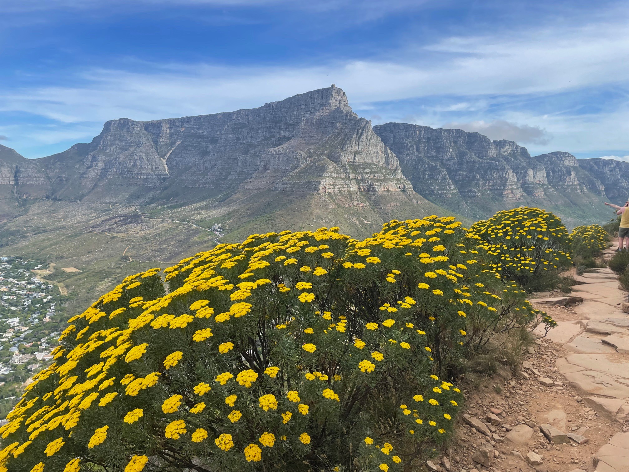Table Mountain trail scenery with dramatic views