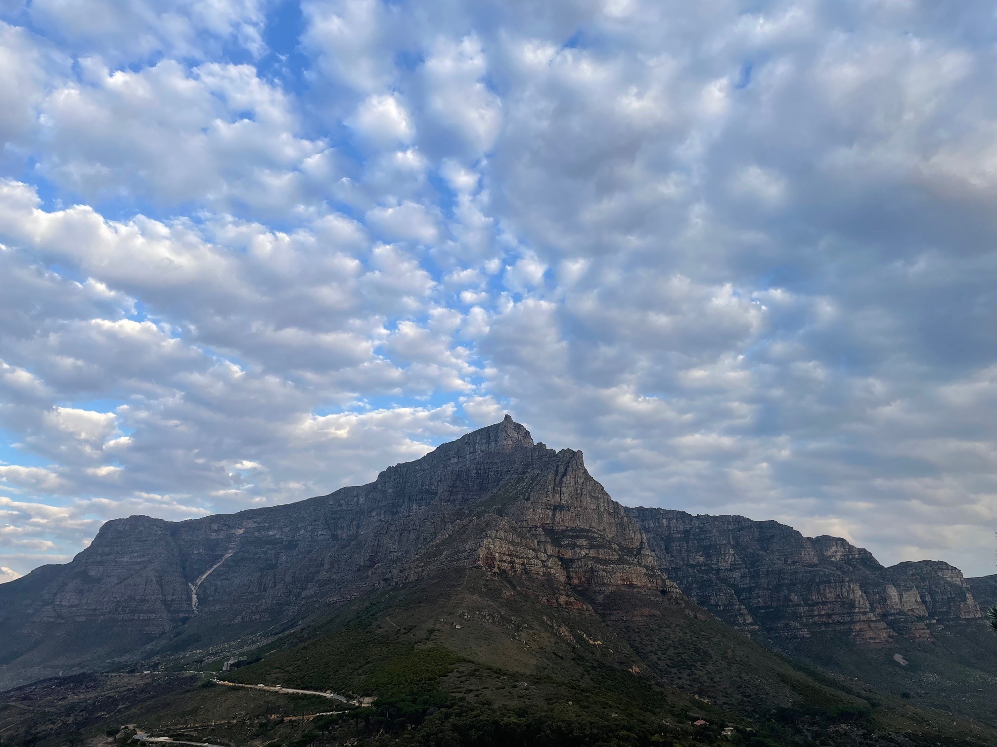 Wildflowers on the mountain